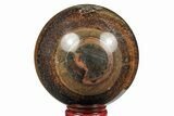 Polished Tiger's Eye Sphere #191187-1